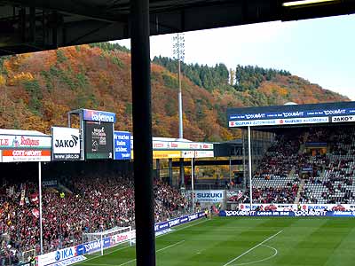 Ein schöner Herbstwald und ein immer störender Pfosten.